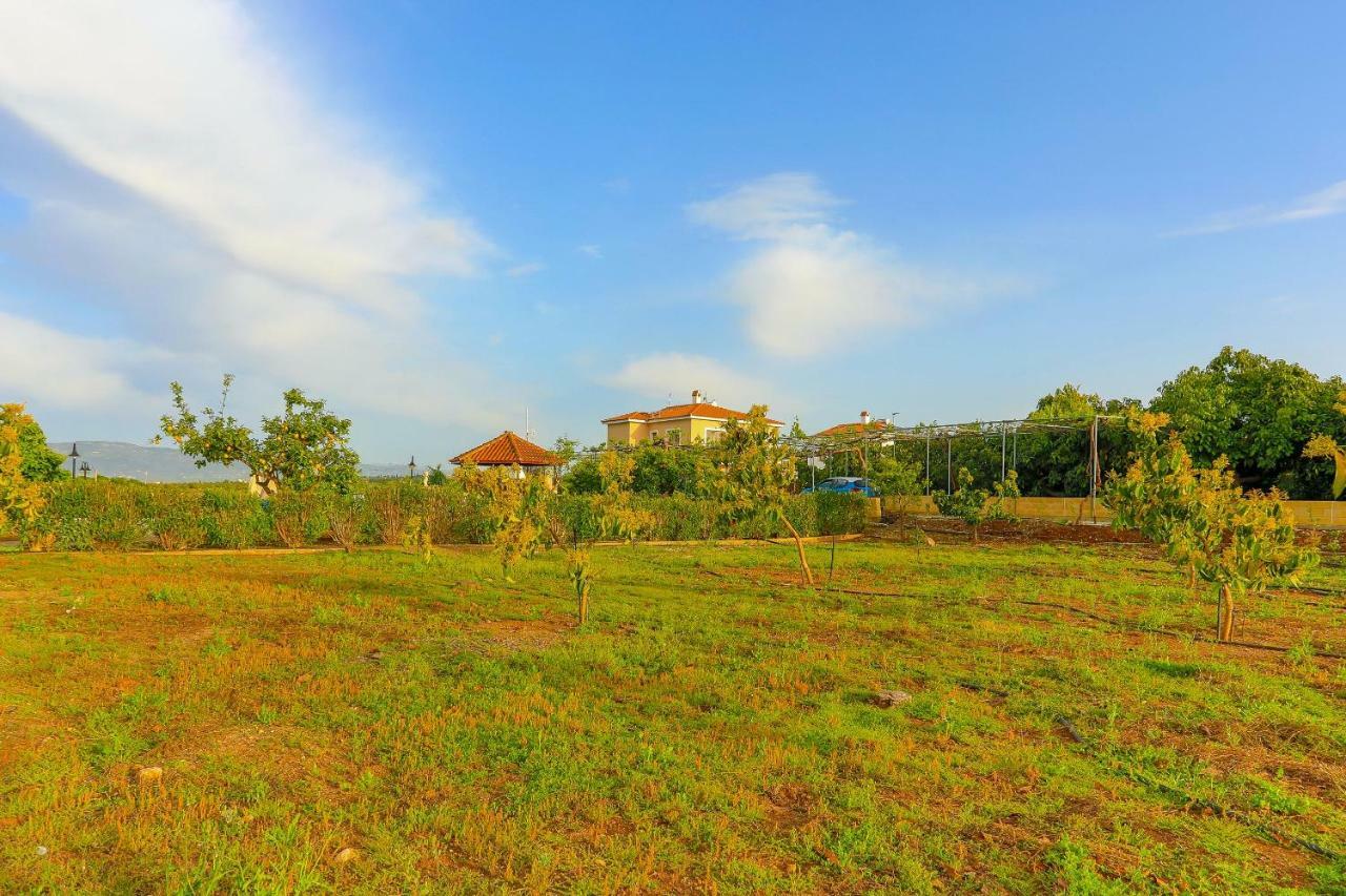 Villa Athina Finiki Πόλη Εξωτερικό φωτογραφία